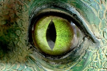 regnum_picture_1530867942871685_normal