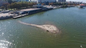 У Дніпрі посеред річки "виріс" новий острівець, екологи забили на сполох: відео