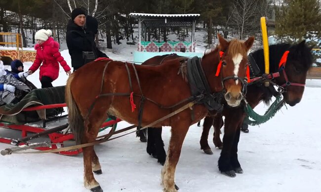 повозка
