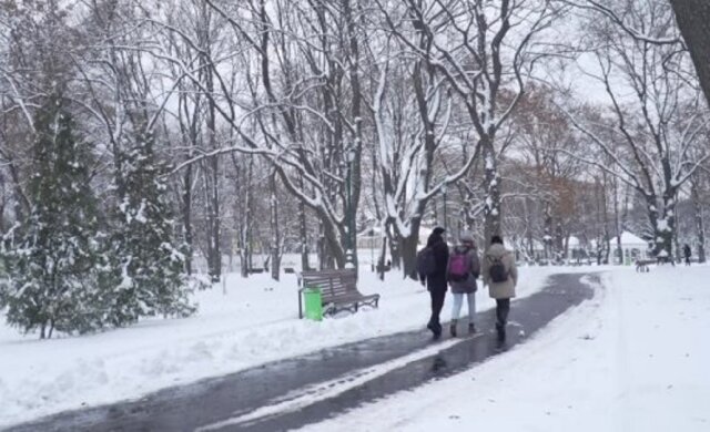 Сніг та ожеледиця: на Одещині оголошено перший рівень небезпеки через негоду
