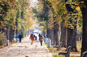 осень, люди, погода