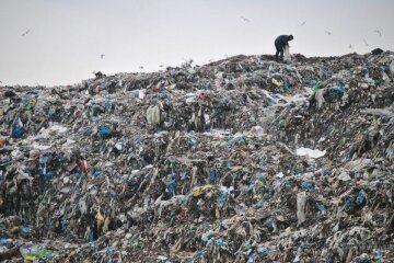 Отрути і катастрофа: львівські екологи провели дослідження