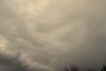 погода