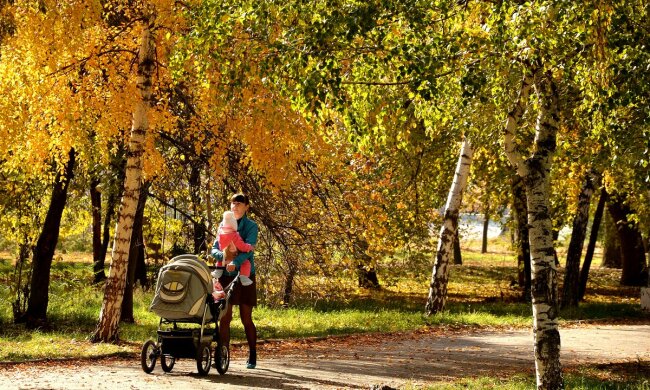 погода, осень, парк, ребенок