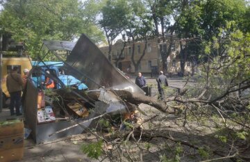 Дерево рухнуло на киоск с продавцом в центре Одессы, движение заблокировано: кадры ЧП
