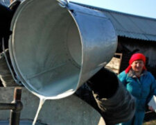 "Будем выливать молоко в канализацию": украинские фермеры оказались на грани из-за карантина