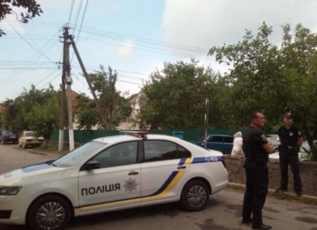 На харьковских рынках изъяли сотни тонн рыбы, фото: