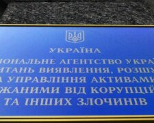 Раніше за допомогою АРМА проводилося рейдерство, а зараз агентство приносить гроші в бюджет - нардепи