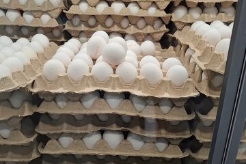 Подорожчання продуктів