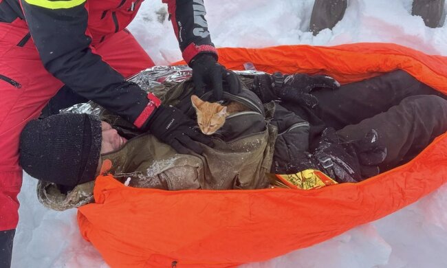 кошеня та чоловік