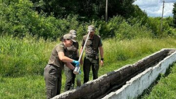 Полтора миллиона за грязную воду: экоинспекторы доказали в суде вину бердичевского предприятия, годами травившего реку