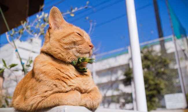 погода в Украине 12 мая