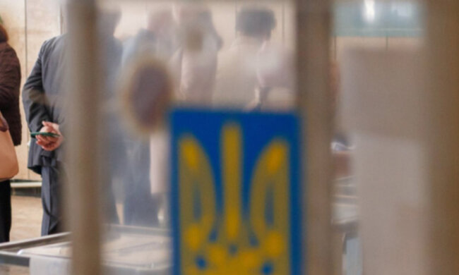 выборы