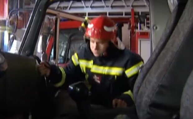 У Києві провели «спецоперацію» з порятунку кошеняти, фото: зруйнували 7 квартир