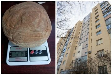 Українець виставив на продаж камінь за вартість київської квартири, чим особливий: "Такого чуда природи немає ніде в світі"