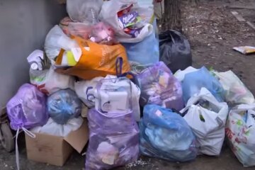 Дніпро на межі сміттєвого колапсу, комунальники працюють на межі своїх можливостей: що відбувається