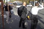 Новий графік руху транспорту в Дніпрі