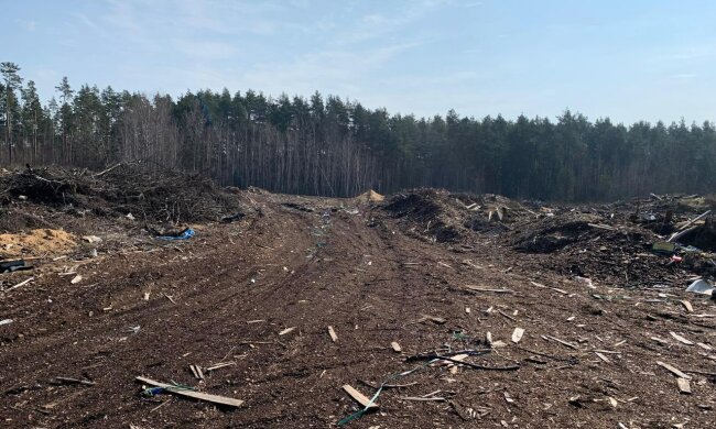 Ущерб окружающей среде на 1,6 миллиона: в Житомирской области лесной филиал засорил землю и должен заплатить