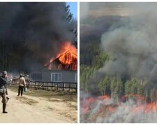 Житлові будинки знищено, в хід пішла авіація: нові кадри вогняного пекла на Житомирщині