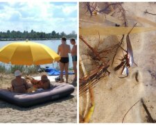 "Укус похож на пчелиный": водяные скорпионы заполонили озера, украинцев предупредили