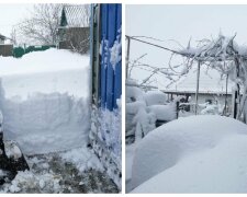"Снега по пояс": в сети показали последствия непогоды в Одесской области, удивительные кадры