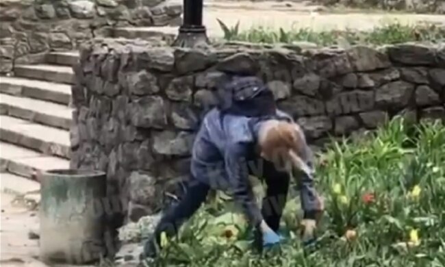 Жінка безцеремонно викопала квіти у парку Києва, з'явилося відео: "На салат"