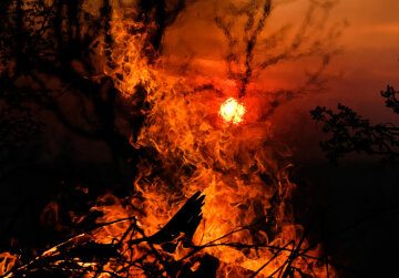 пожар, огонь, пламя, костер, горит лес