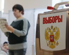 В честность выборов поверило менее половины россиян