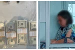 Чиновница в Сумской области возглавила банду рэкетиров