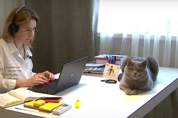 робота, зарплата