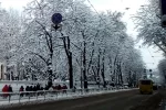 "Насколько можно быть жадным?": маршрутчик оставил 11-летнего украинца замерзать на остановке