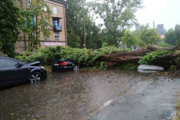 У Києві лютує негода: повалило дерева і затопило вулиці, кадри