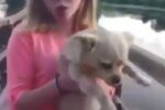 Діти знущалися над собакою і знімали все на камеру: "заради лайків"