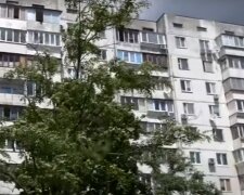 В Киеве живодер вышвырнул кота с пятого этажа, фото: что с животным