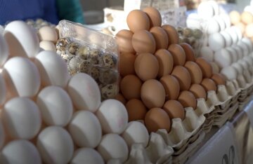 Подорожание продуктов в Днепропетровской области