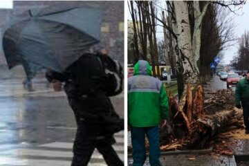 Непогода натворила бед на Харьковщине, кадры: "ветер срывал крыши и..."