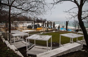 На популярном пляже в Одессе уничтожили деревья ради ресторана: кадры варварства