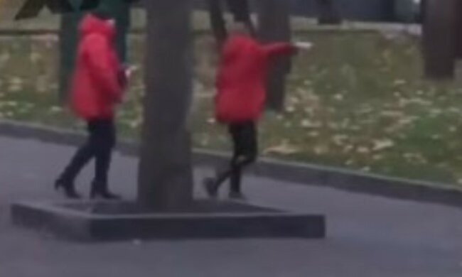 "Мамочка, я хочу ще побути на майданчику": неадекватка била ногами хвору дочку в парку Харкова, відео