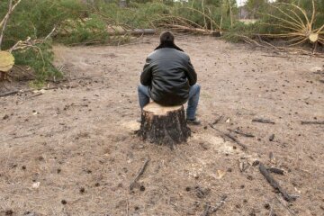 черные лесорубы