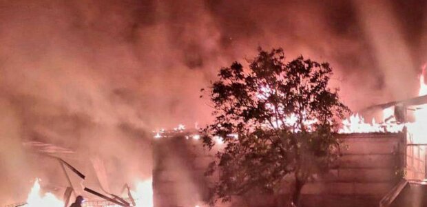  ��������� ������� �������� ���� ������� ���� ������ ������ 