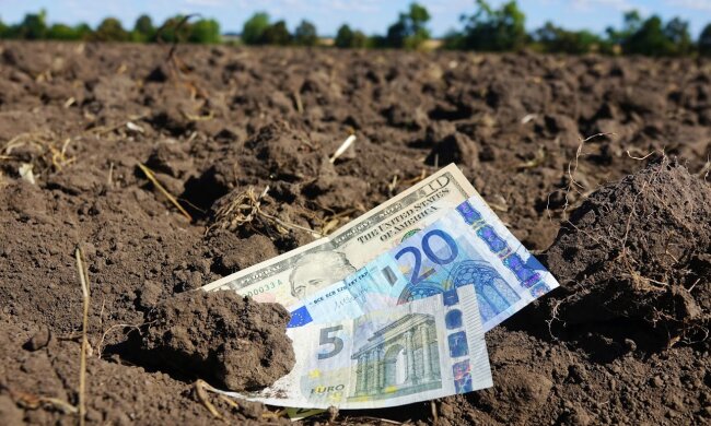 ринок землі, продаж землі