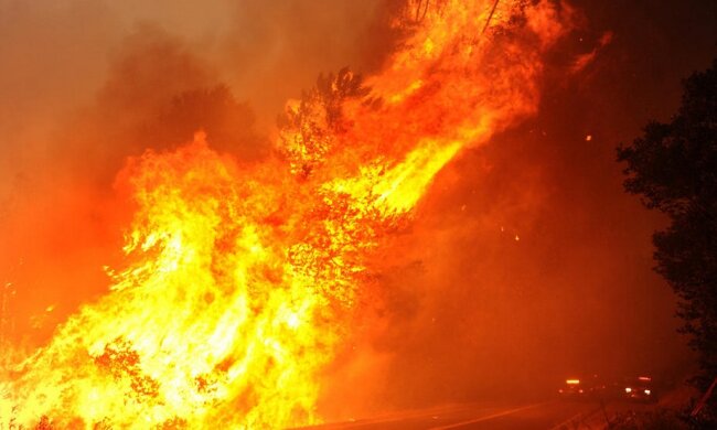 Протестующие южноафриканские студенты подожгли свой университет (фото, видео)