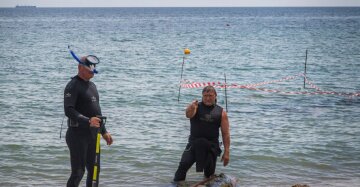 Акулу поймали в море у берегов Одессы: невероятные кадры