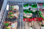 Подорожчання продуктів у Запоріжжі