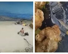 На пляже в Одессе мужчину угостили мясом с "сюрпризом", видео: "Бонусом достался"