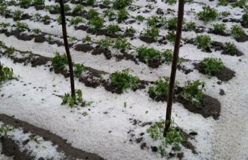 Погода в Украине окончательно слетела с катушек, сугробы растут: фото майского снега