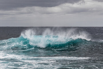 море
