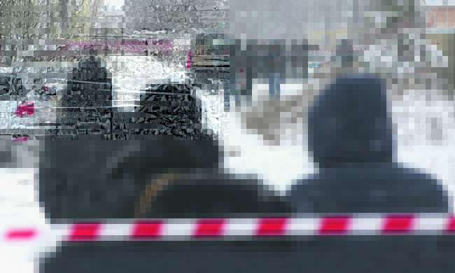 Княжичи2