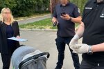 "Заработанное" скрыла в детской коляске: украинка нажилась на бизнесменах, схему удалось раскрыть