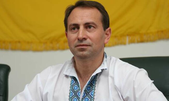 Создать парламентско-президентскую республику возможно за 100 дней, — Томенко